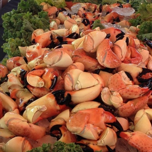 Stone Crab Fest - Claws