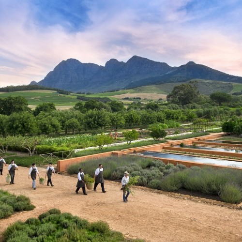 Babylonstonre-Chefs-Kitchen-Garden