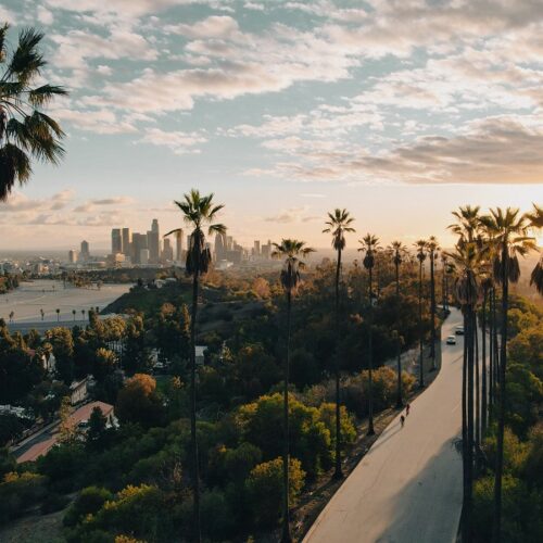 Palm Tree-Lined Street Overlooking Los Angeles at Sunset