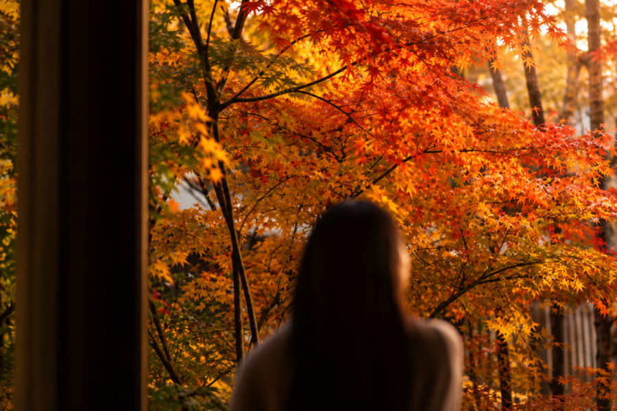Six Senses Kyoto_Herbst